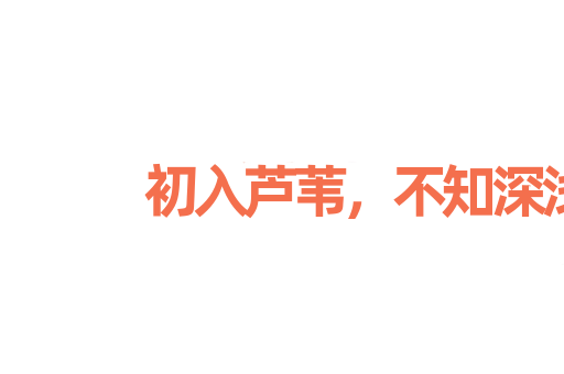 初入芦苇，不知深浅