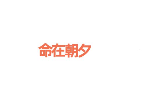 命在朝夕