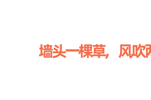 墙头一棵草,风吹两边倒