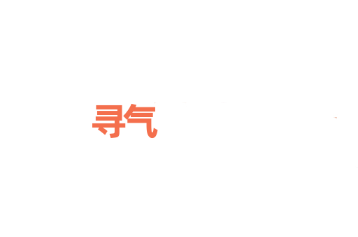 寻气
