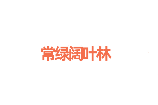 常绿阔叶林