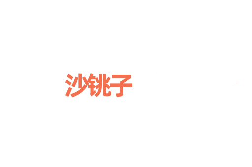 沙铫子